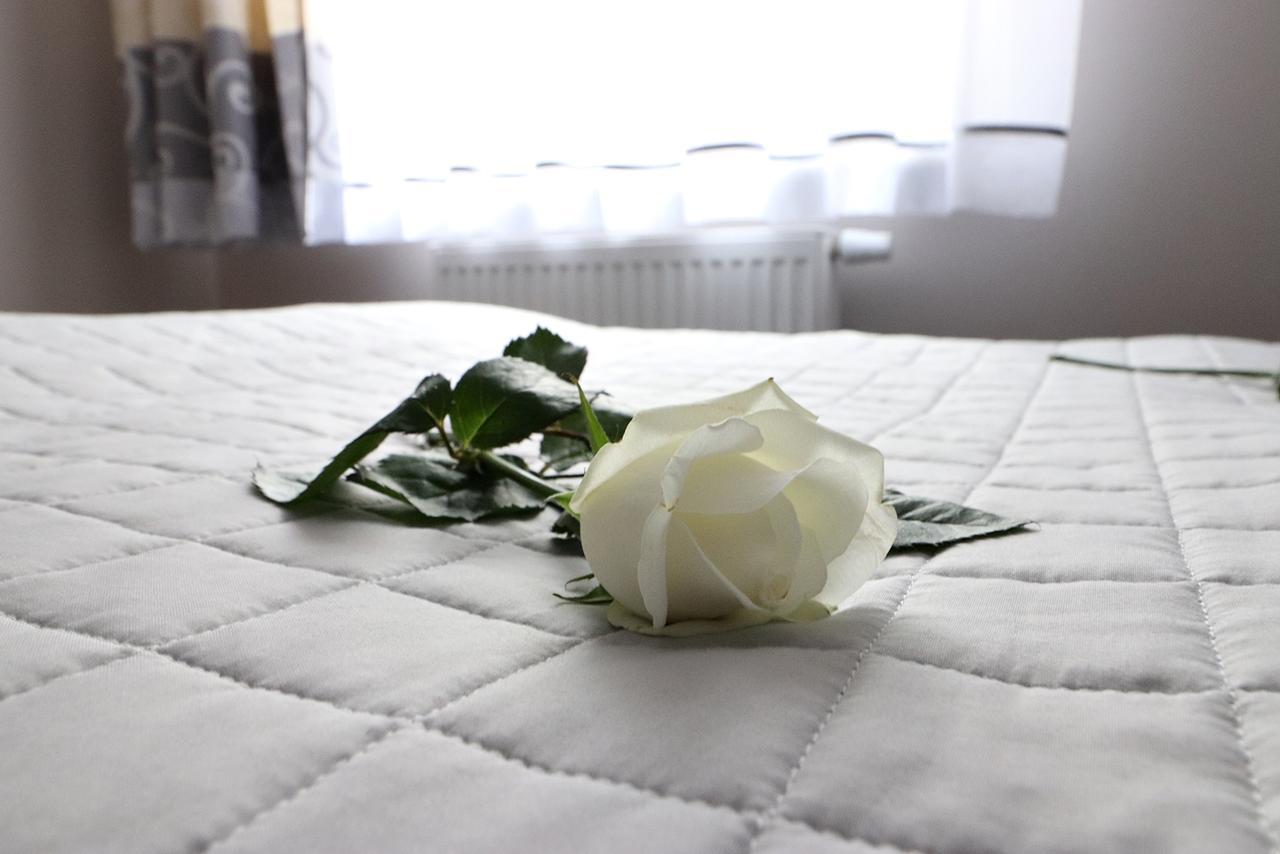 Apartamenty Bm'Kruk Stronie Śląskie Extérieur photo